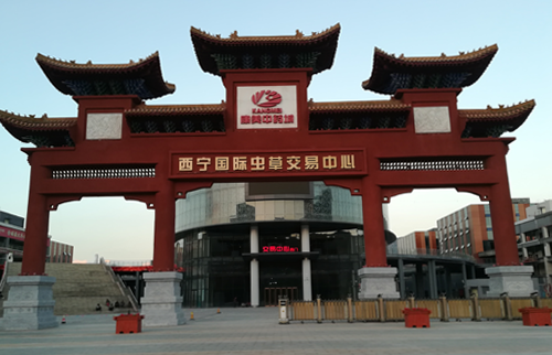 西宁康美中药城LED发光字